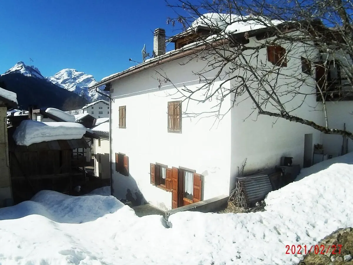 Appartamento Piccola Stella Alpina Canale dʼAgordo
