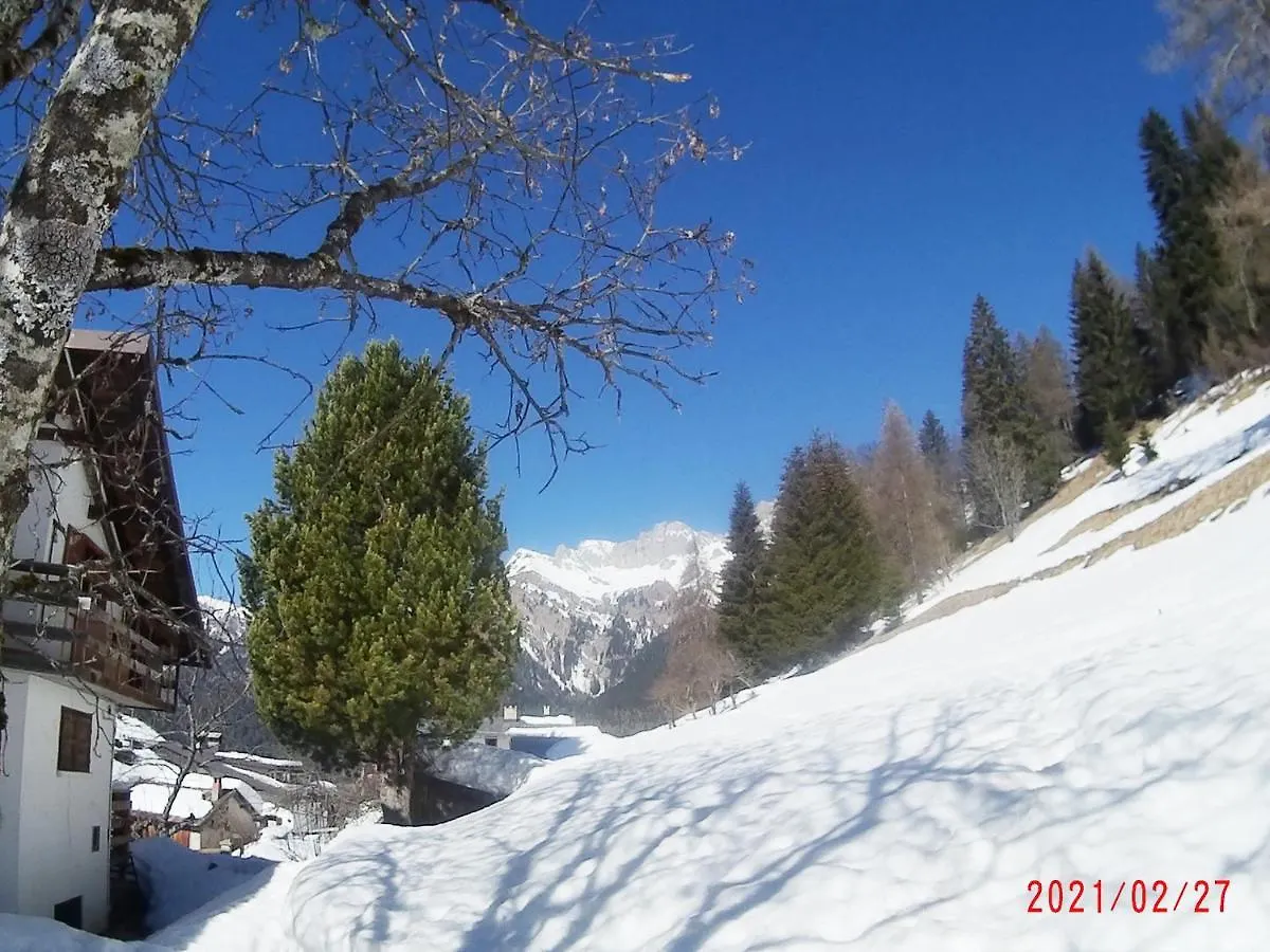 Appartamento Piccola Stella Alpina Canale dʼAgordo